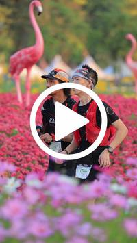 BIB:  <button type="button" onclick="openModal(27582966)" class="btn btn-primary btn-sm float-right" data-toggle="modal" data-target=".modal-high-quality">
                <i class="fa fa-download"></i> Download
                </button>